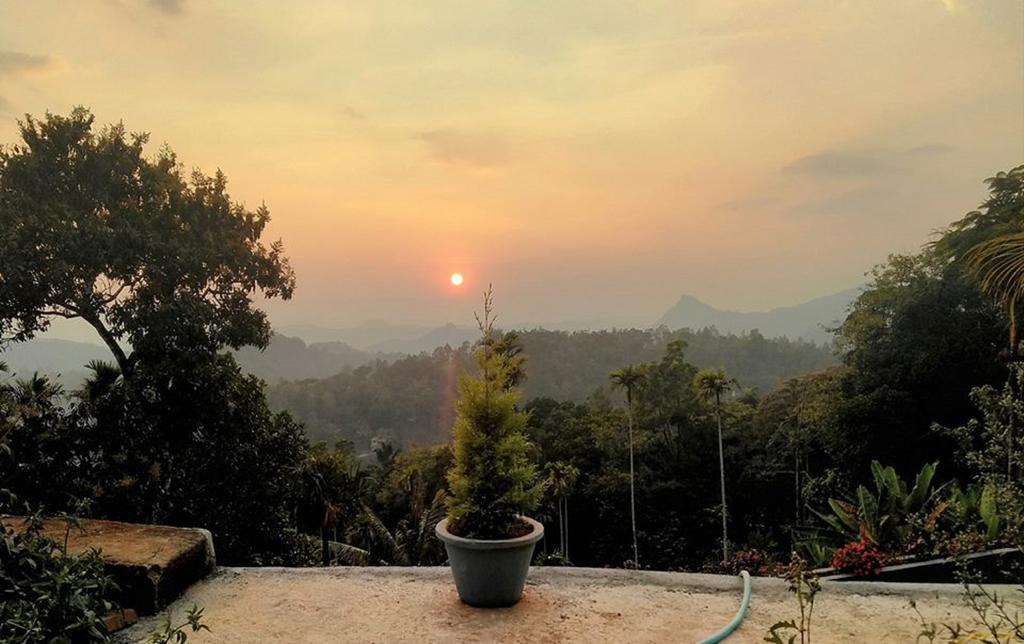 Munnar Heritage Cottage Kültér fotó